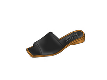 Load image into Gallery viewer, Izzy